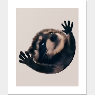 Raccoon Pedro Pedro funny viral meme Posters and Art